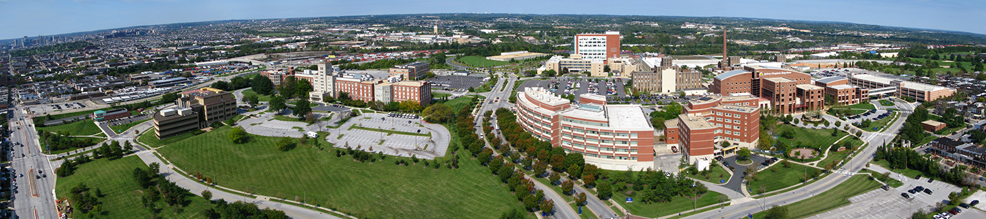 An aerial view of Bayview campus.