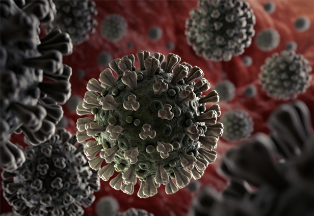 A close-up of novel coronavirus.