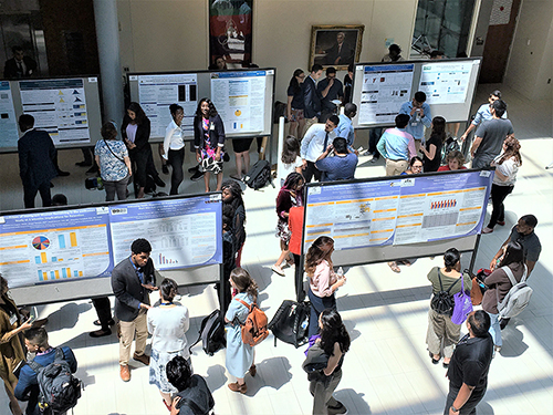 Students present their work in a poster session