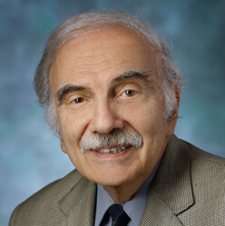 L. Mario Amzel