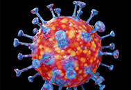 A closeup of coronavirus
