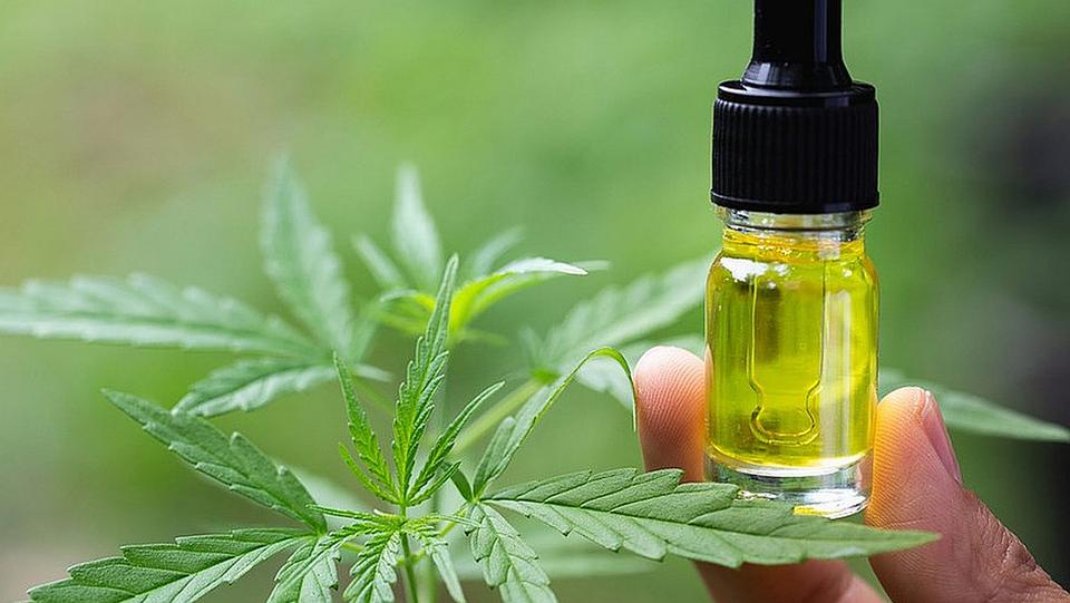CBD Products May Help People with Epilepsy Better Tolerate Anti-Seizure  Medications