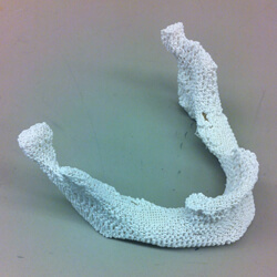 a 3-D printed lower jaw