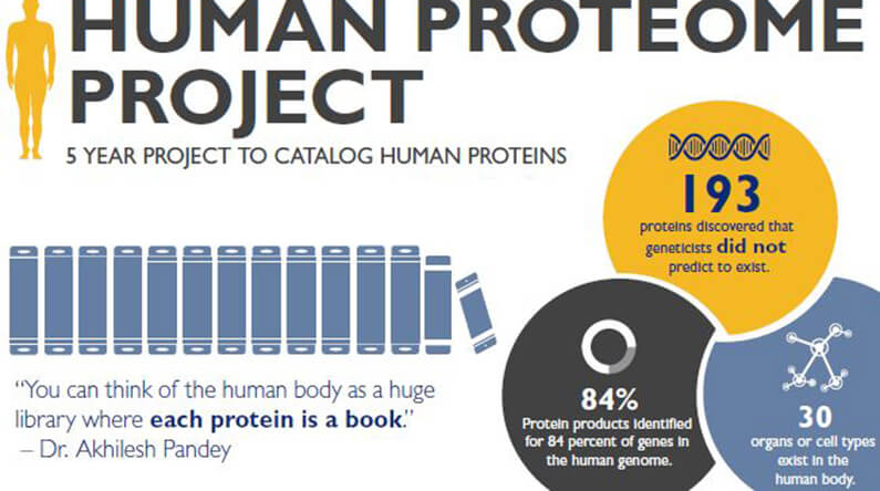 graphic of the human proteome