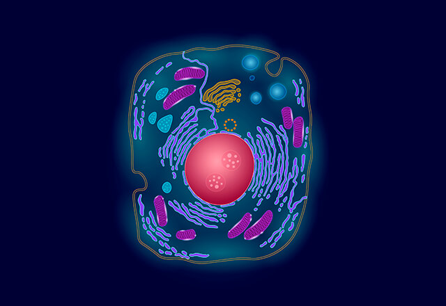 Image result for molecular, biological and cellular biology