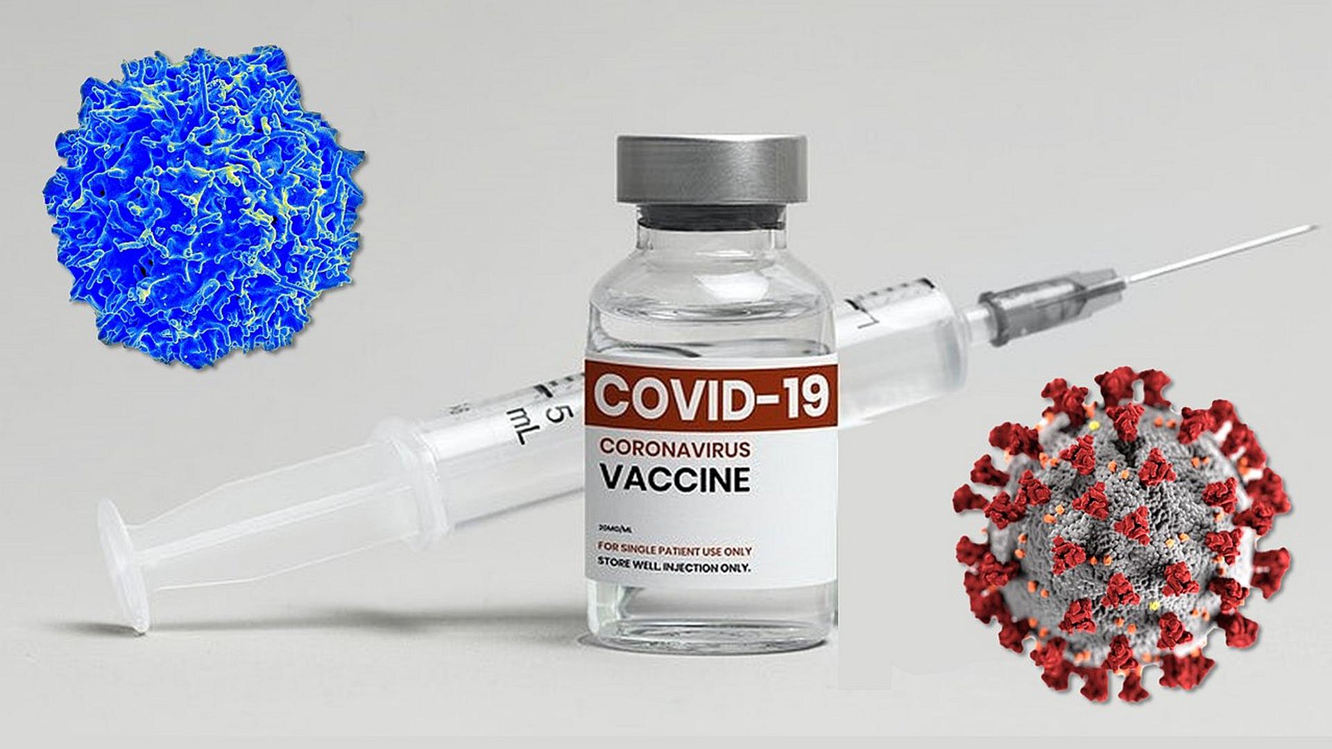 COVID-19 Story Tip: Study Shows Vaccines May Protect Against New COVID-19  Strains … and Maybe the Common Cold