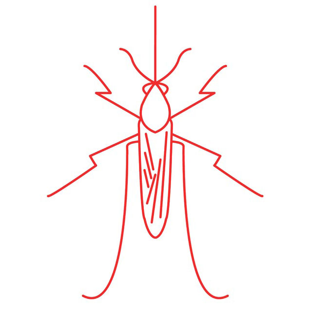 red mosquito illustration