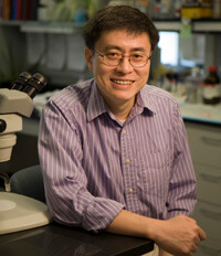 Xinzhong Dong, M.D., Ph.D.
