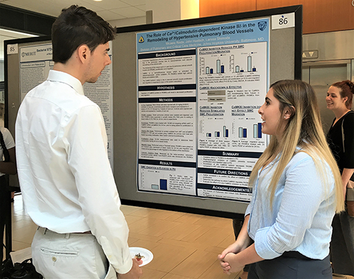 A student presents their work in a poster session