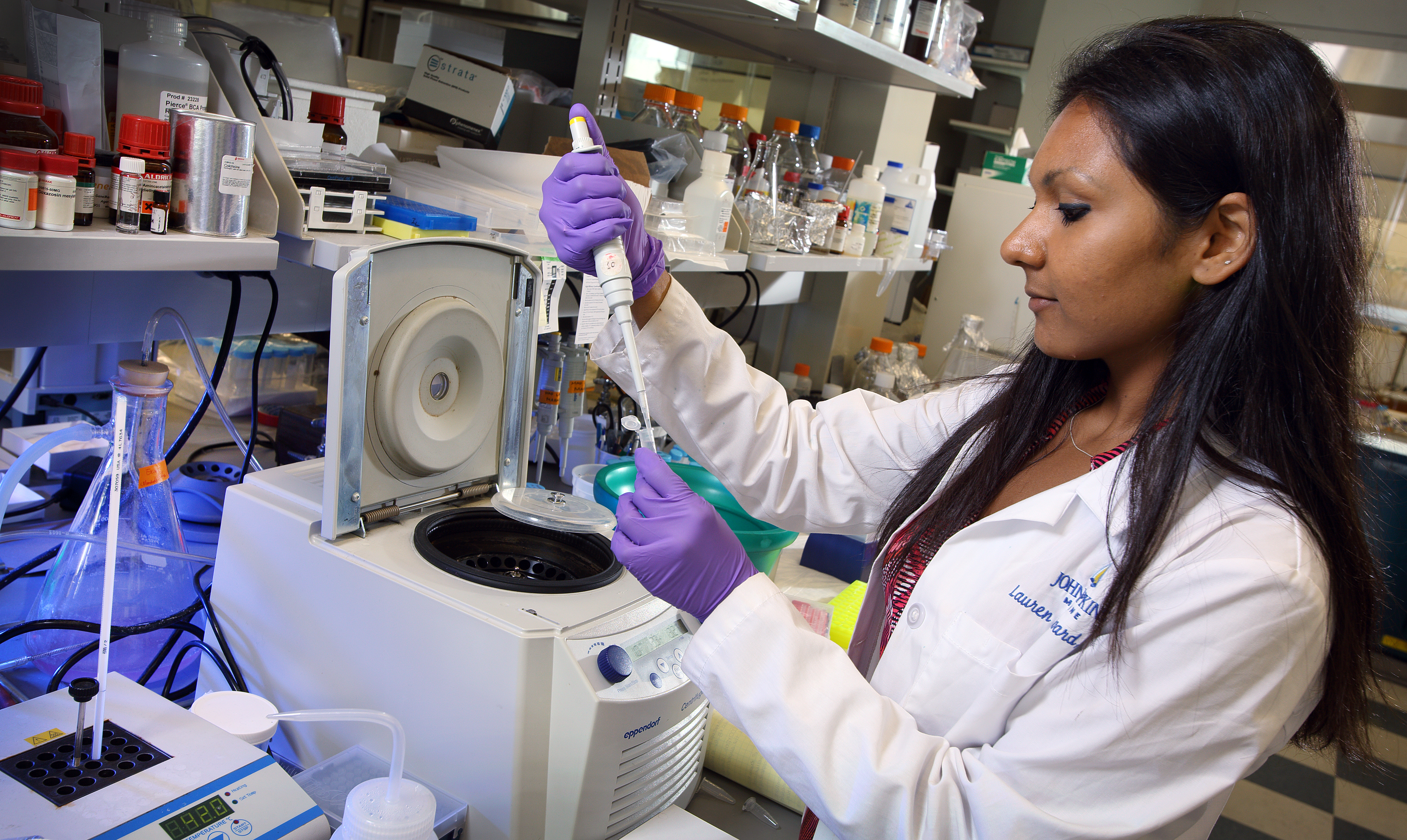 a researcher working in the lab