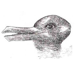 a drawing that can look like a duck or a rabbit