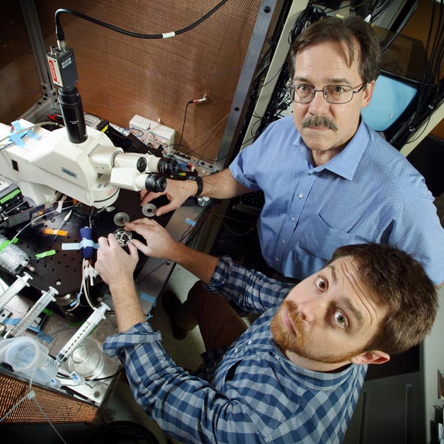 Otolaryngology researcher Paul Fuchs (above right) and graduate student Stephen Zachary