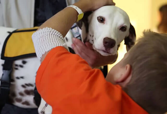 Animal-assisted Therapy at The Johns Hopkins Hospital | Johns Hopkins  Medicine
