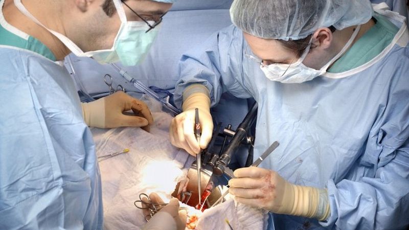 Newswise: Less-Than-Perfect Kidneys Can be Successfully Used For Transplants, Study Shows