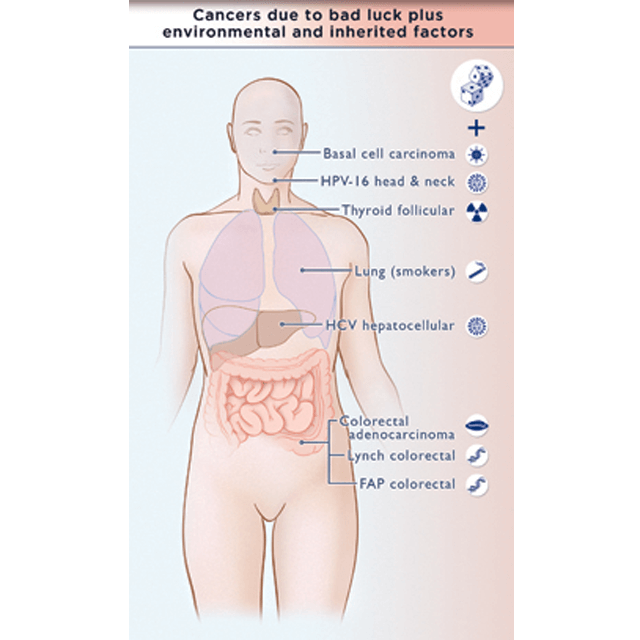 Image with body showing cancer sites. Cancer is not a "battle" that we can control, but rather a combination of bad luck plus environmental factors such as viruses, smoking, and radiation exposure. 
