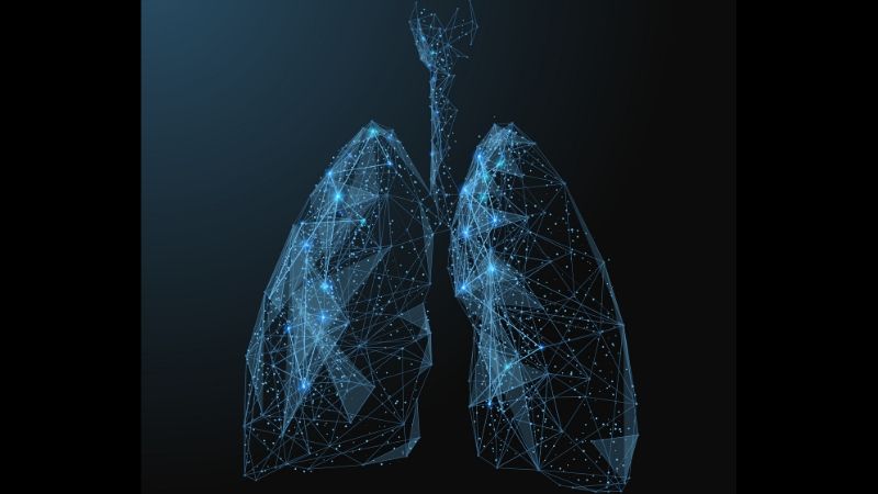Newswise: Researchers Characterize Lung Inflammation Associated With Some Cancer Immnunotherapy