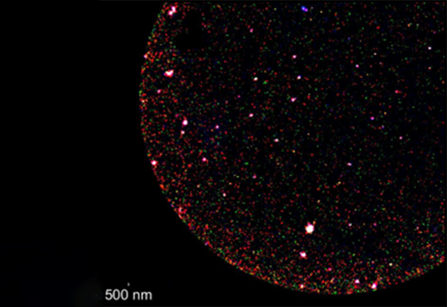 Fluorescence image of neuron-derived extracellular vesicles.