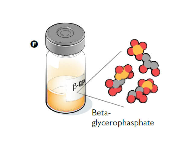 beta-glycerophasphate