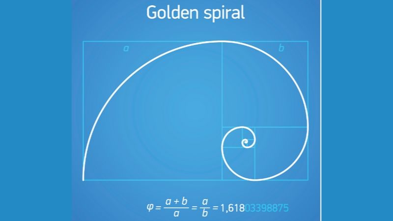 Newswise: Golden Ratio Observed In Human Skulls
