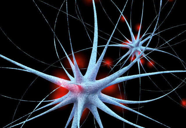 illustration of stylized neuron