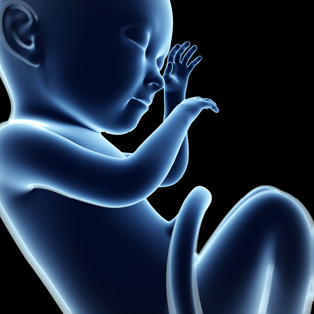 A graphic shows a fetus at 9 months.