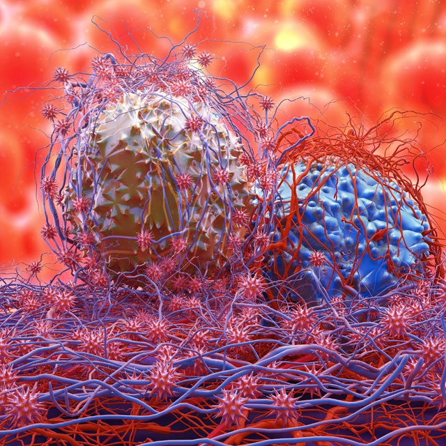 3d representation of cancer cell, purple cell on red background