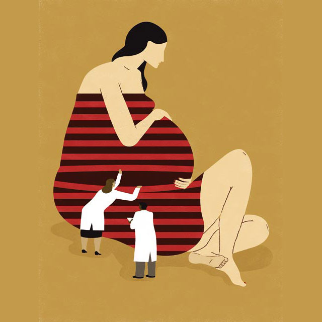 pregnancy illustration