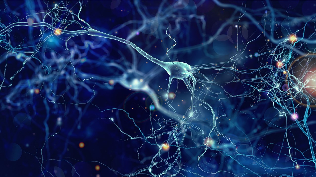 Conceptual illustration of neurons