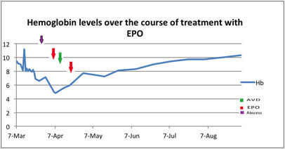graph showing hemoglobin levels over the course of treatment with EPO