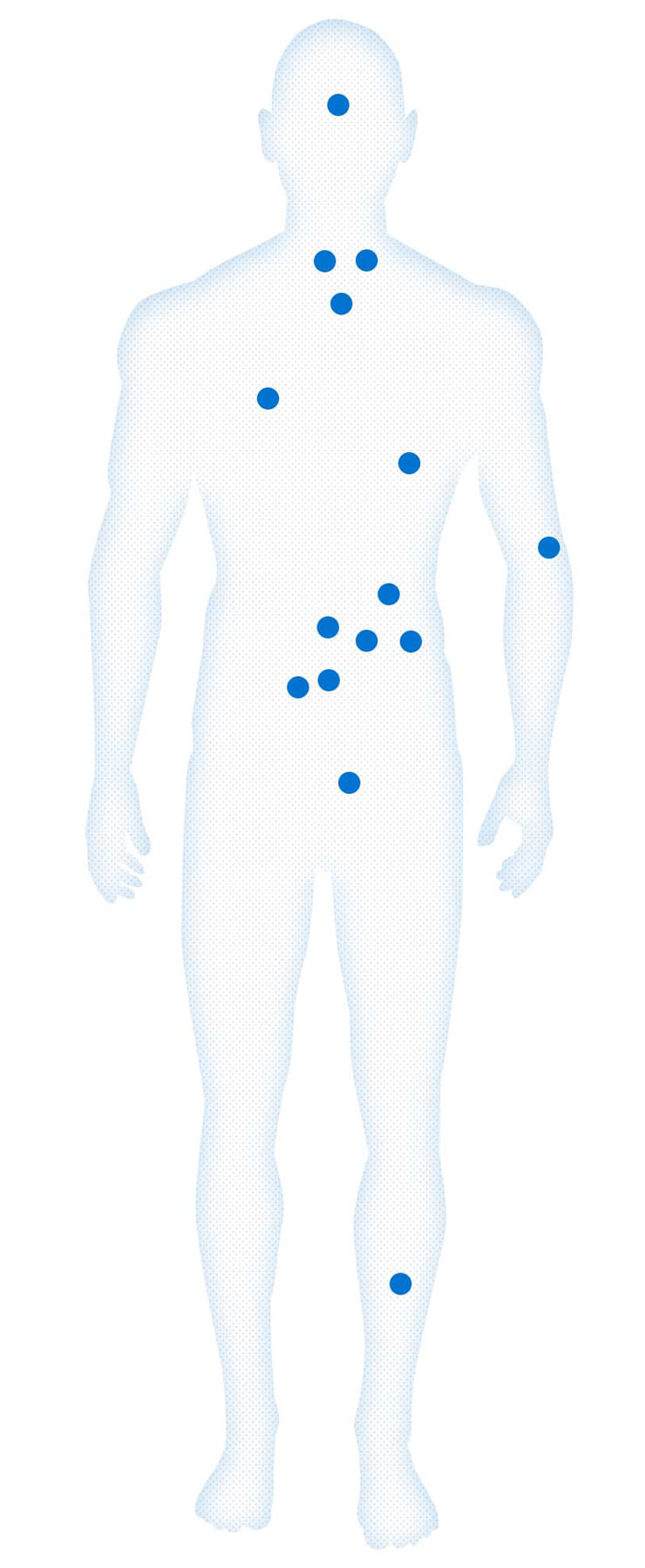 Outline of Male Body